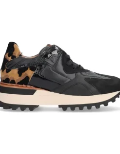 Femme Alpe Estella D1-71